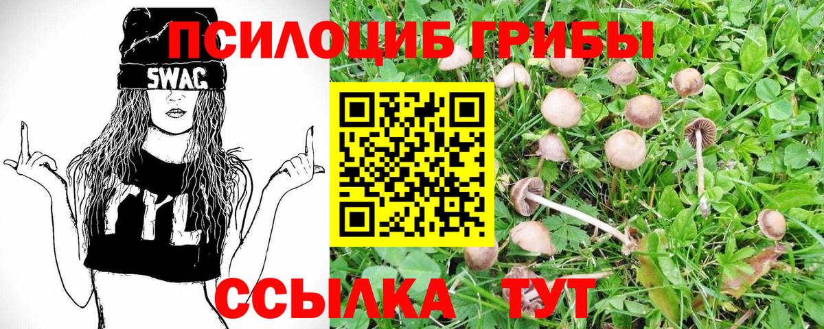 Галлюциногенные грибы GOLDEN TEACHER Тавда