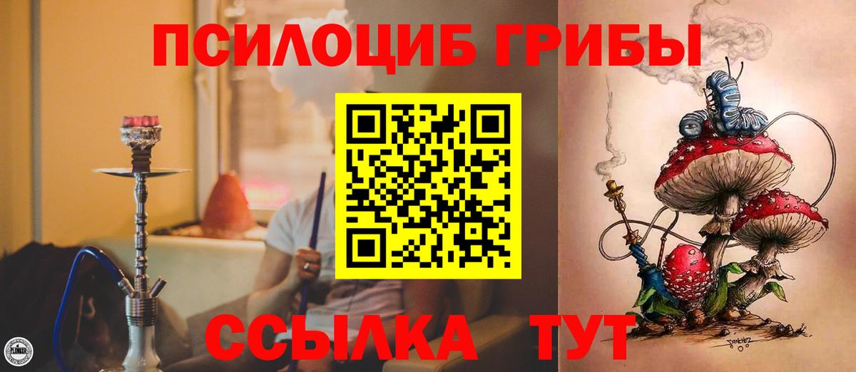 Тавда  Псилоцибиновые грибы мицелий  Вход с VPN  Псилоцибиновые грибы GOLDEN TEACHER 